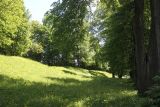 Окрестности Чухломского озера, изображение ландшафта.