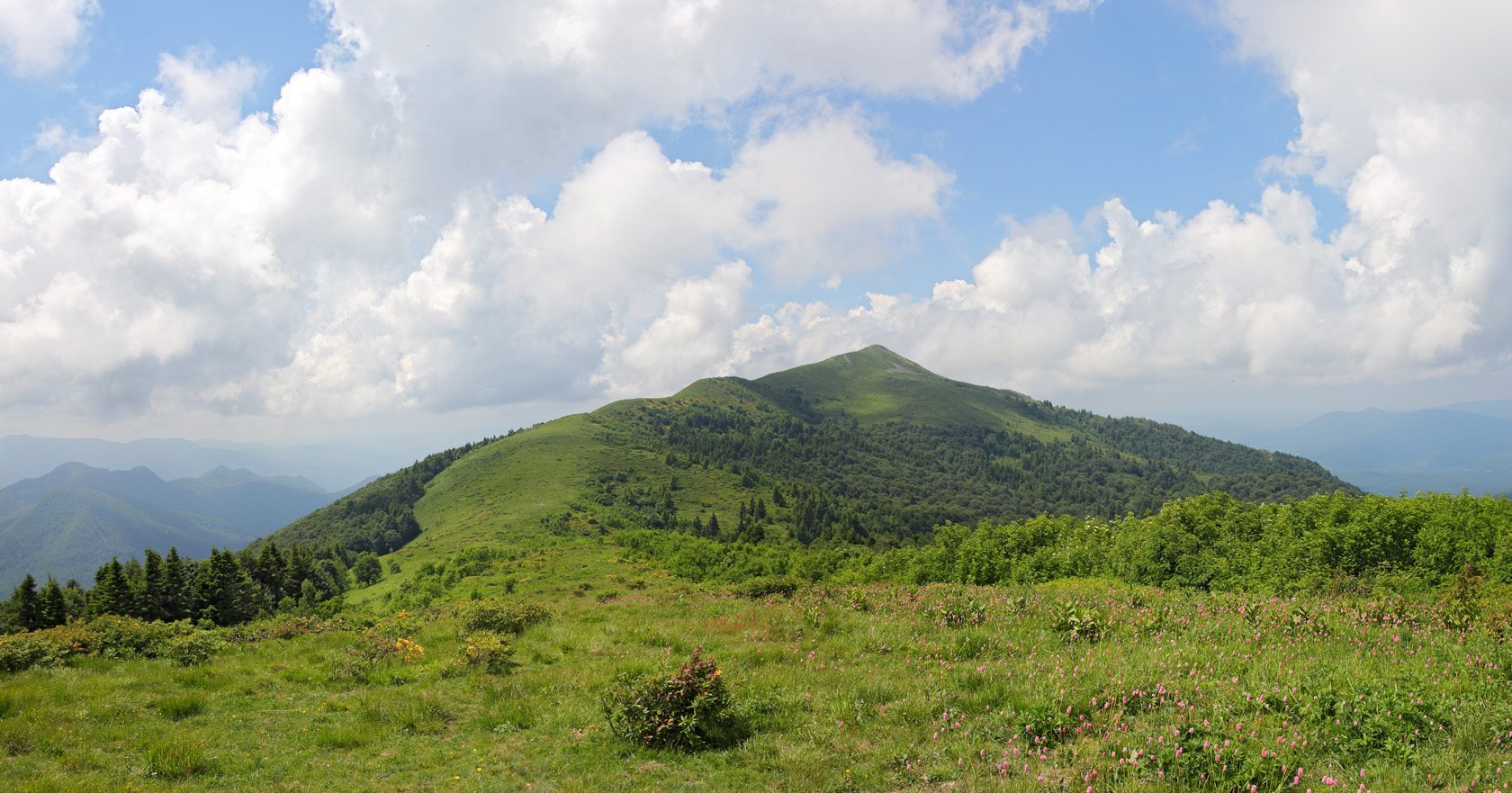 Массив горы Семиглавая, image of landscape/habitat.