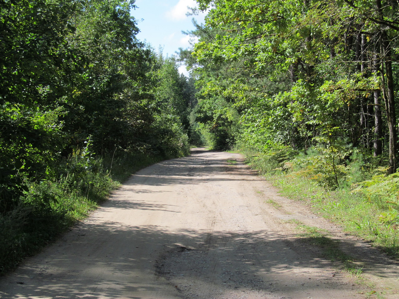 Гагарино, image of landscape/habitat.