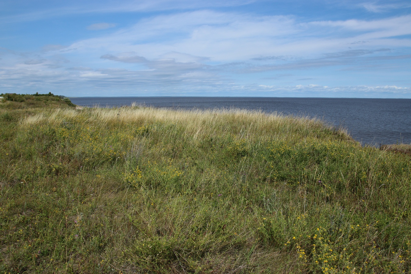 Ильменский глинт, image of landscape/habitat.