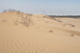 Image of landscape