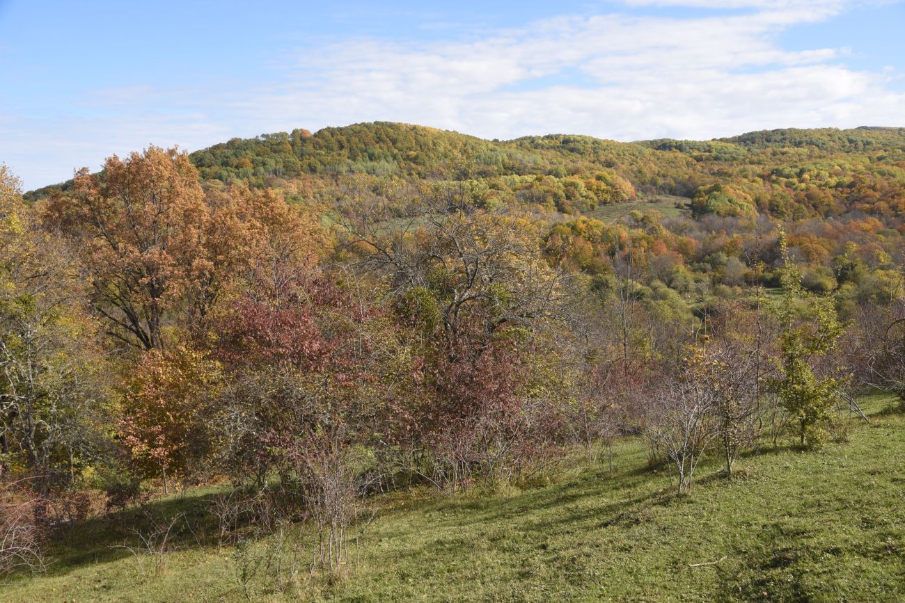 Окрестности пещеры Порошковая, изображение ландшафта.