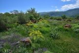 Image of landscape