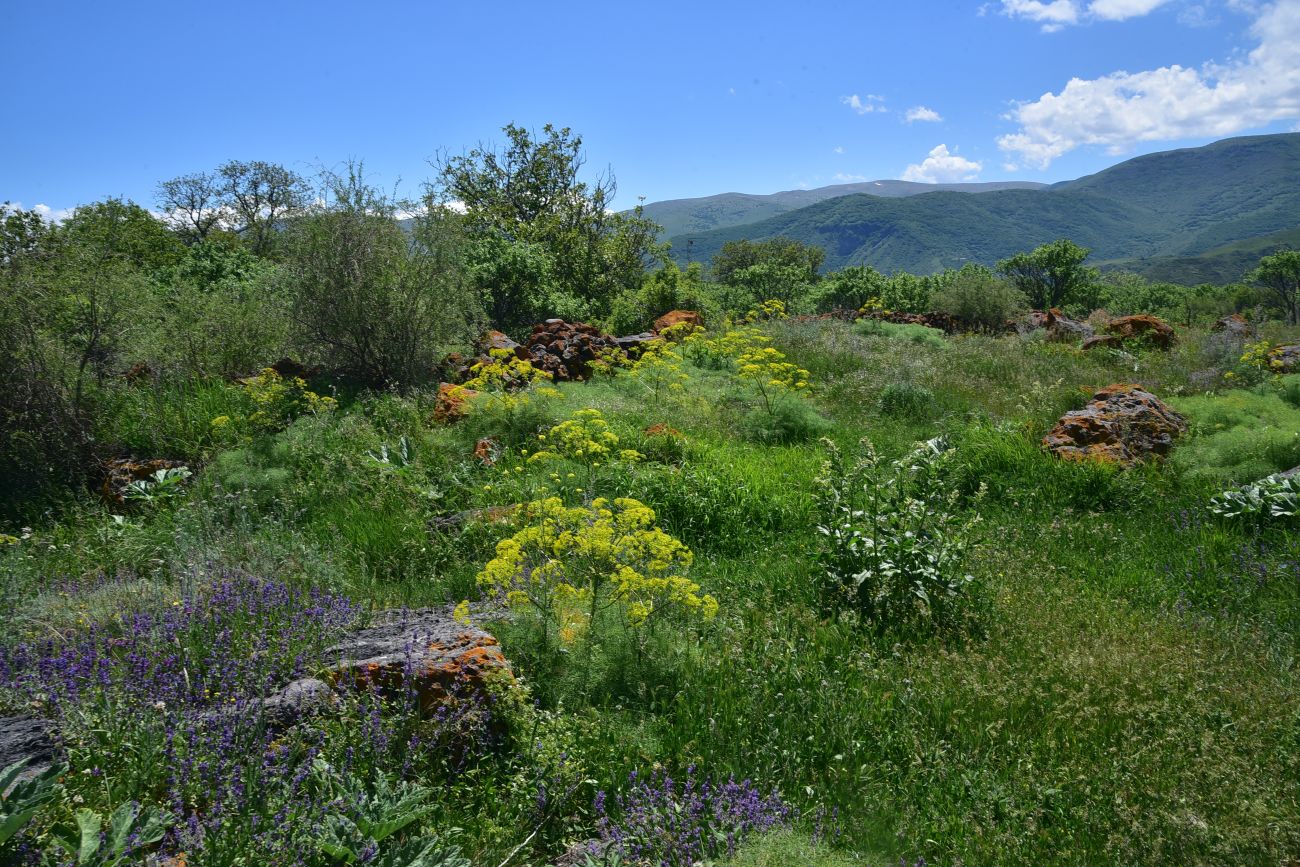 Окрестности села Саро, image of landscape/habitat.