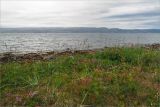Image of landscape