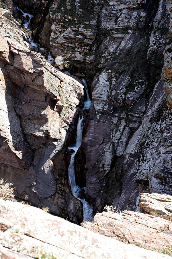 Домик Тризны, image of landscape/habitat.