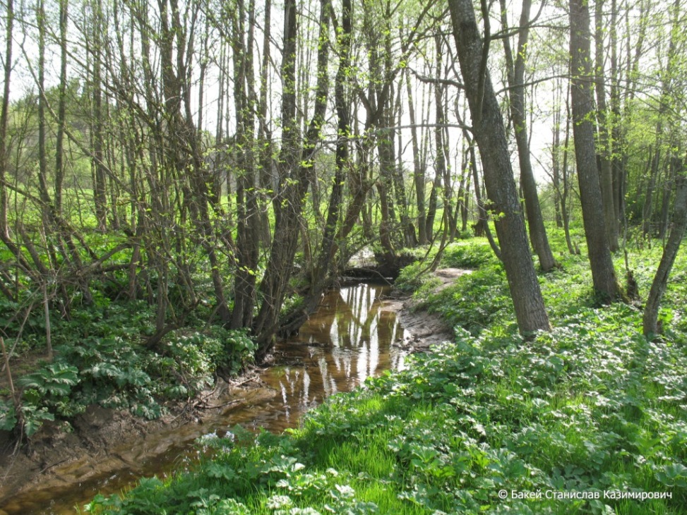 Селец, image of landscape/habitat.