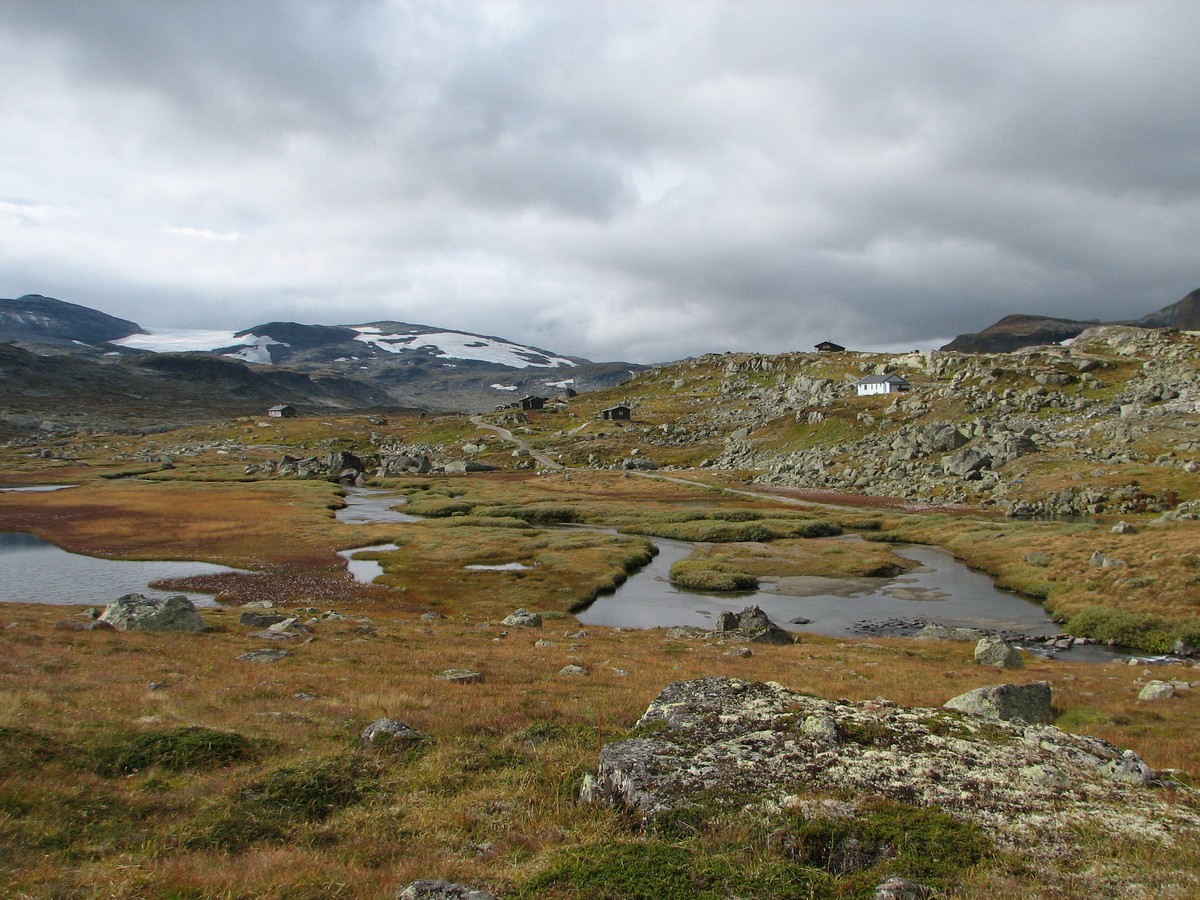 Finse, image of landscape/habitat.