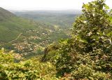 Гурдон, image of landscape/habitat.