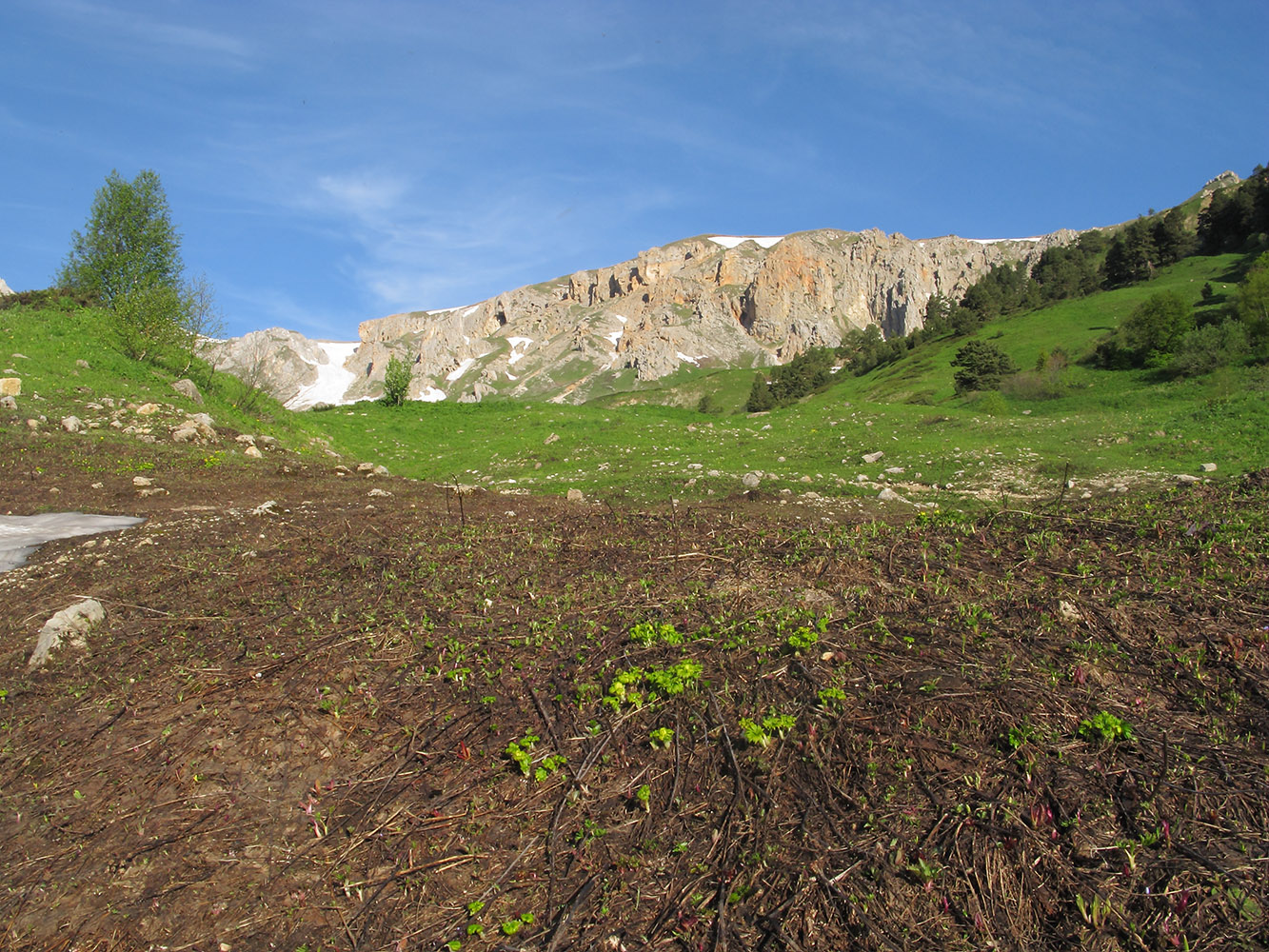 Яворова Поляна, image of landscape/habitat.