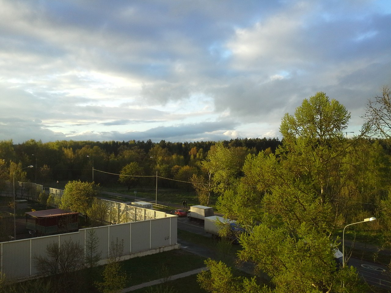 Бутовский лесопарк, image of landscape/habitat.