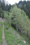 Image of landscape