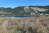 Мыс Большой Утриш, image of landscape/habitat.