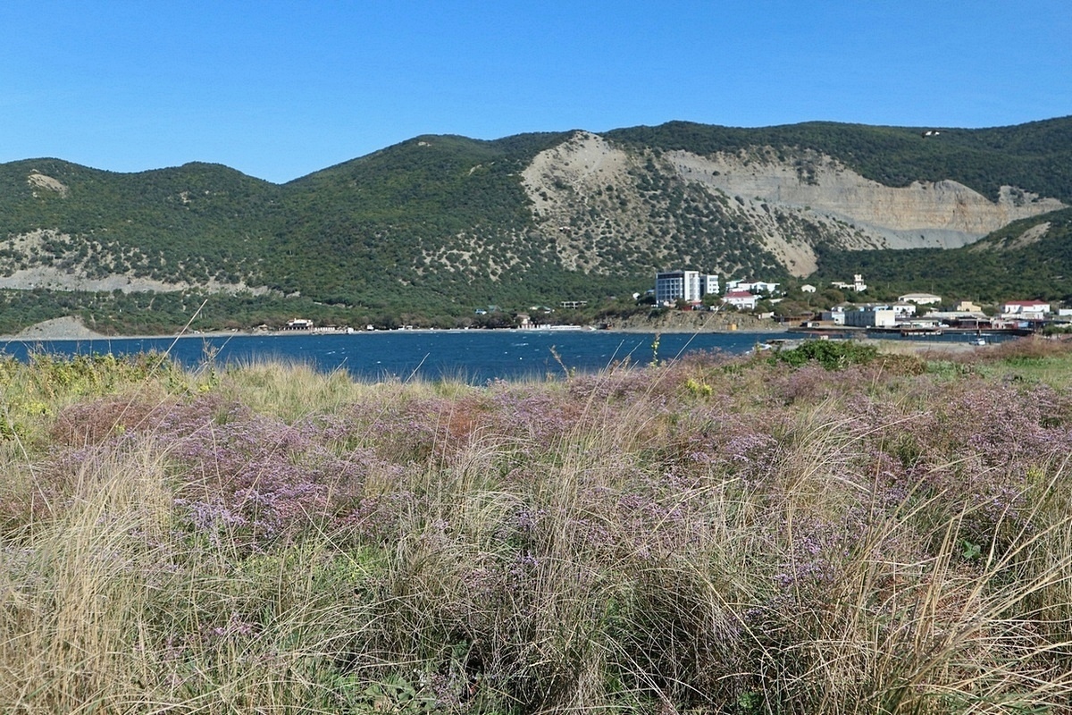 Мыс Большой Утриш, image of landscape/habitat.