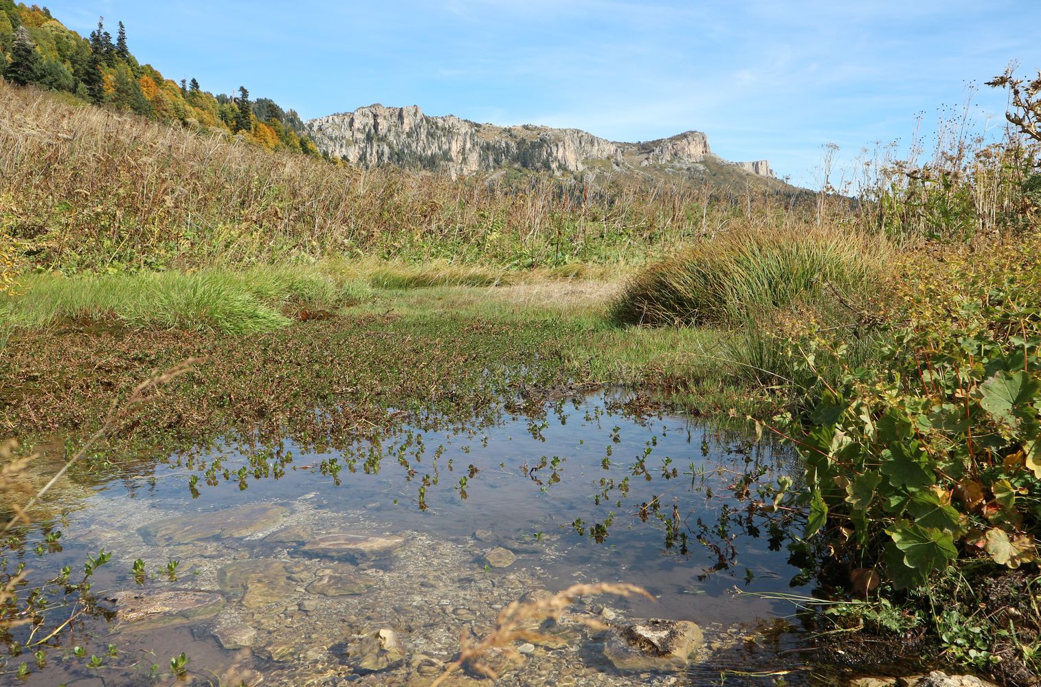 Узуруб, image of landscape/habitat.