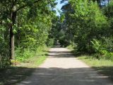 Гагарино, image of landscape/habitat.