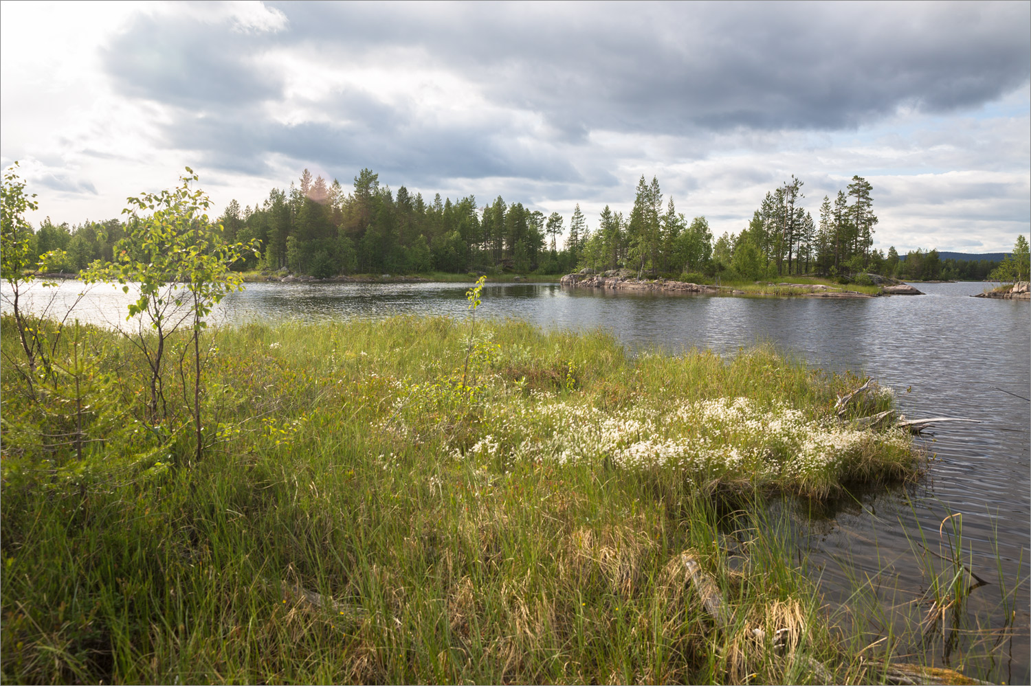 Нотозеро, image of landscape/habitat.