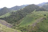 Урочище Цеси, image of landscape/habitat.