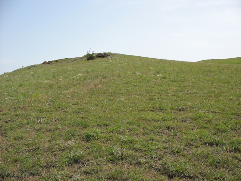 Окрестности Шишкино, image of landscape/habitat.