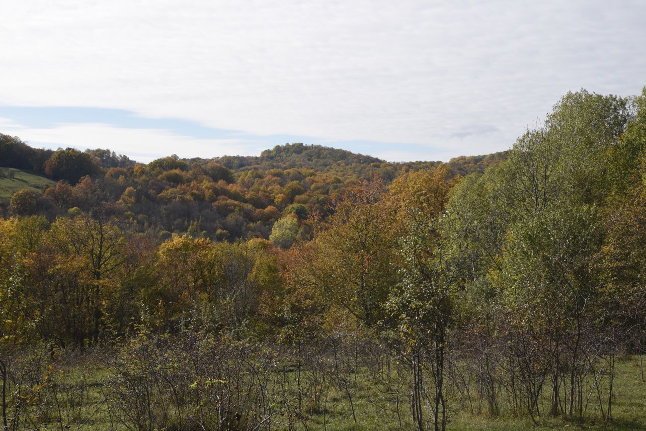 Окрестности пещеры Порошковая, изображение ландшафта.