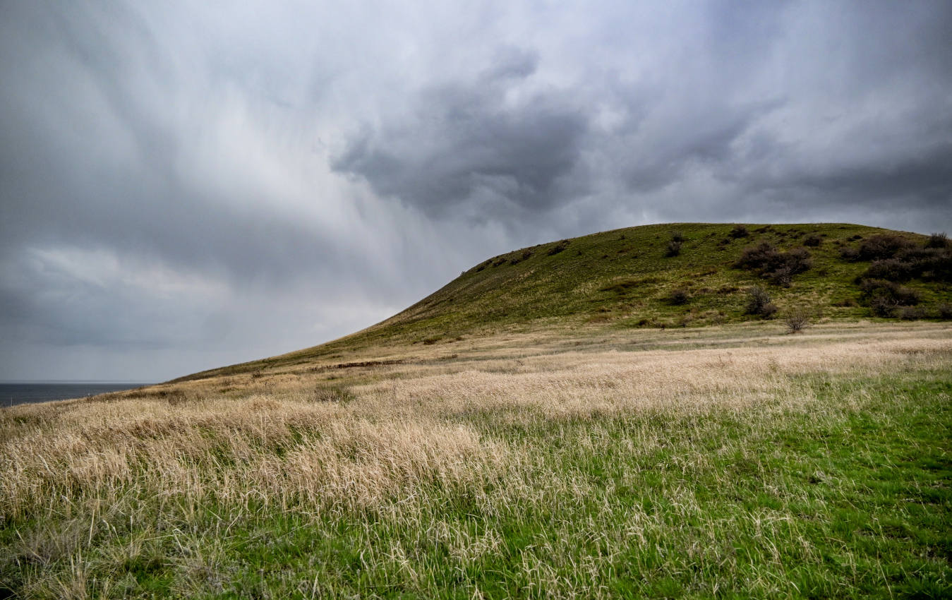 Природный парк "Щербаковский", image of landscape/habitat.