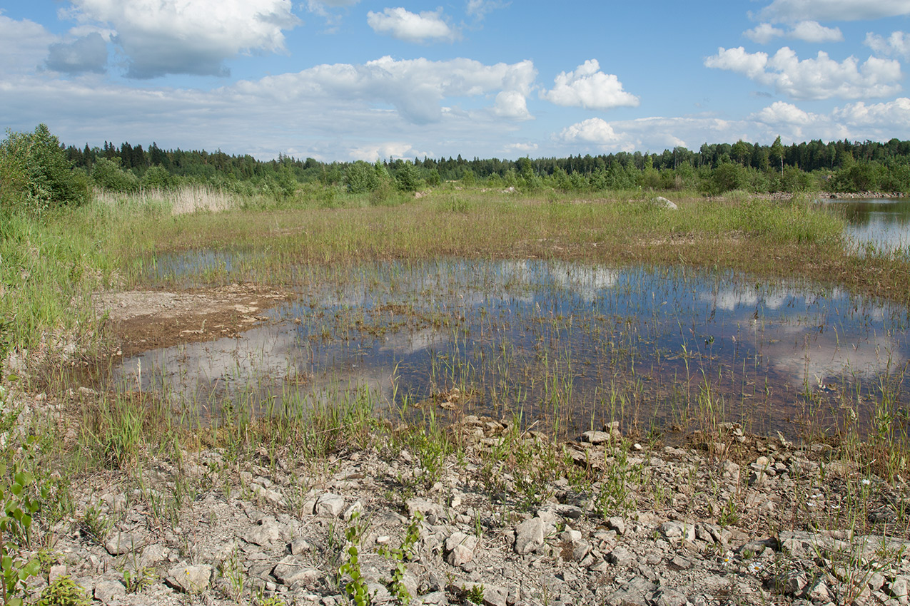 Елизаветинский карьер, image of landscape/habitat.