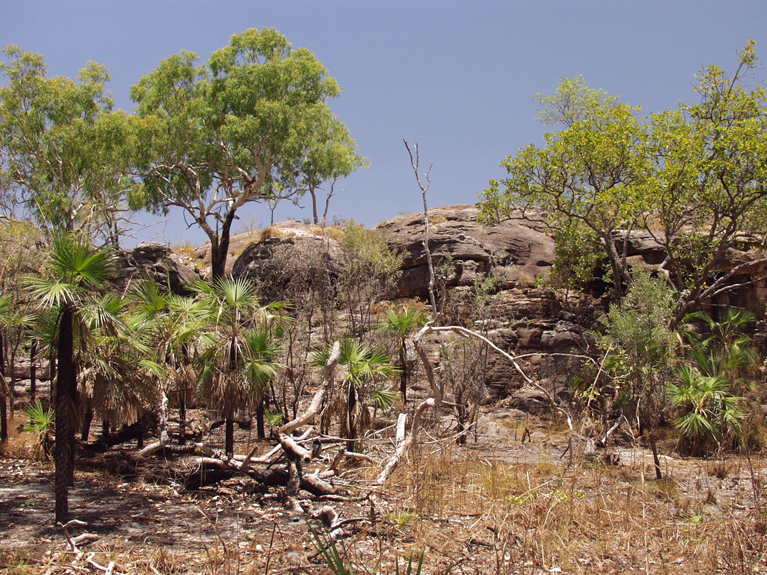 Kakadu, image of landscape/habitat.