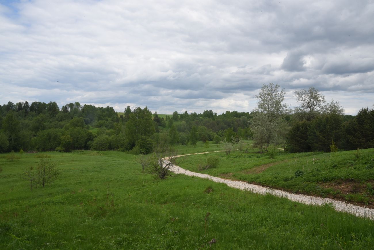 Окрестности деревни Мальцево, image of landscape/habitat.