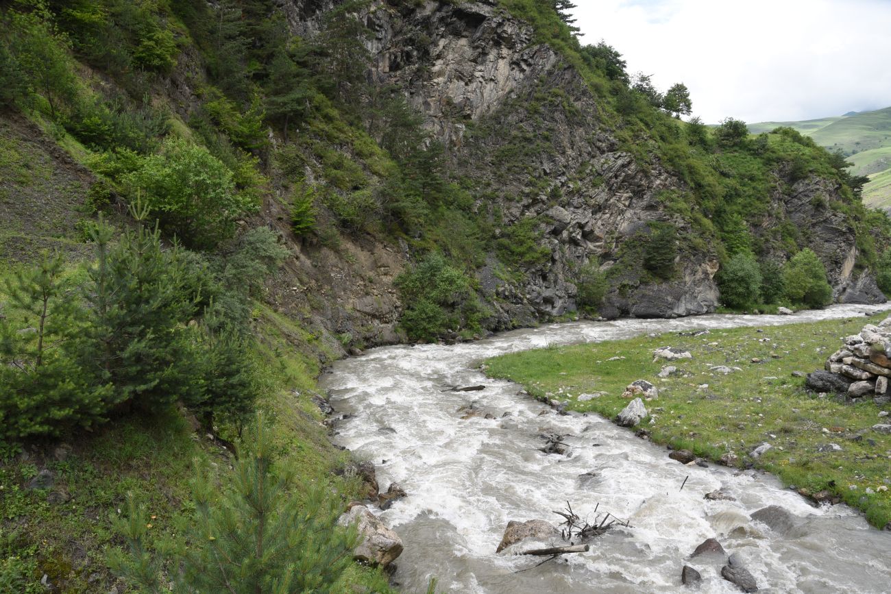 Окрестности Ольгети, image of landscape/habitat.