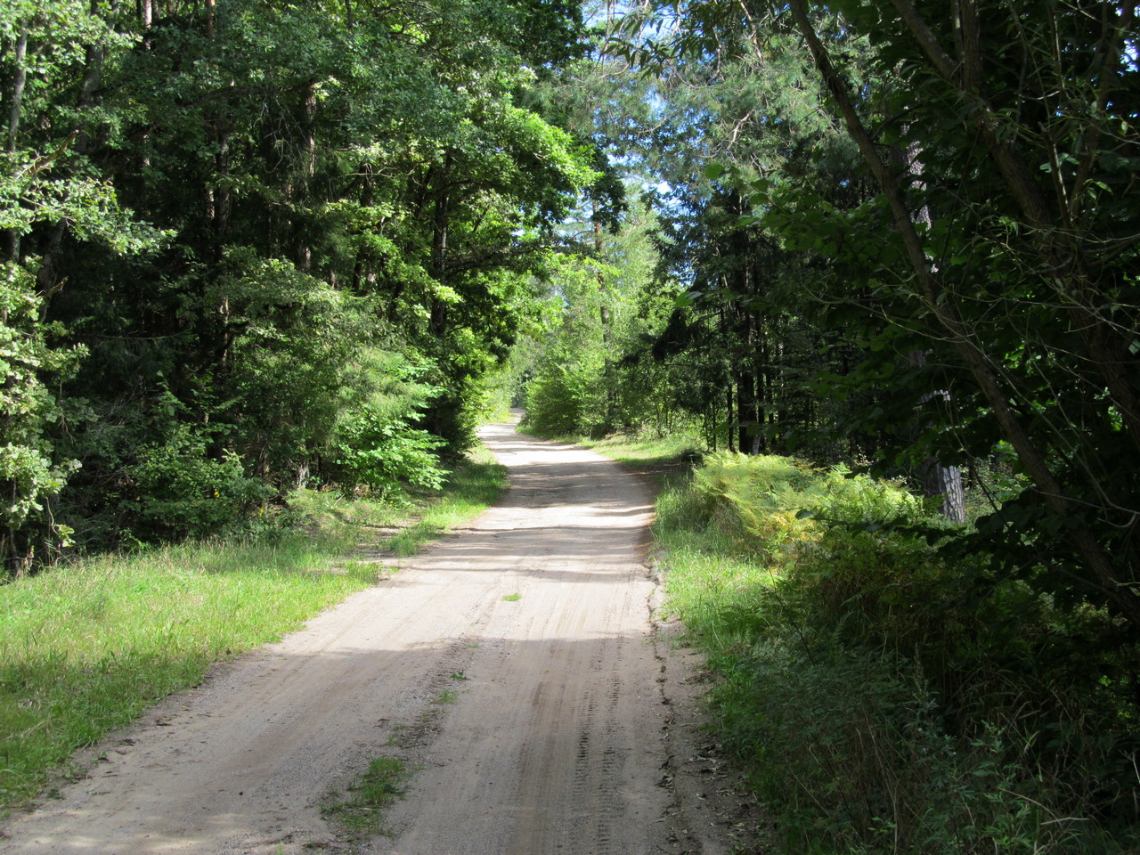 Гагарино, image of landscape/habitat.