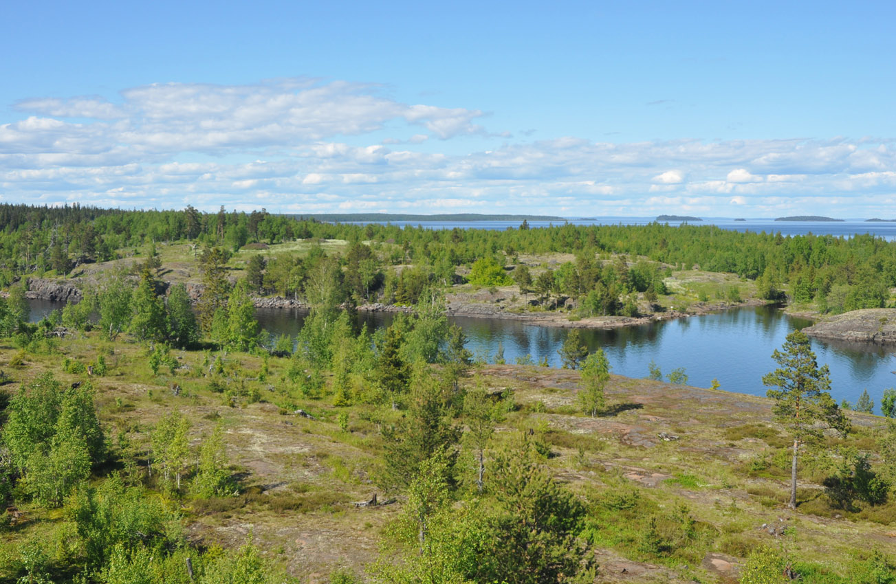 Остров Оборонный, image of landscape/habitat.