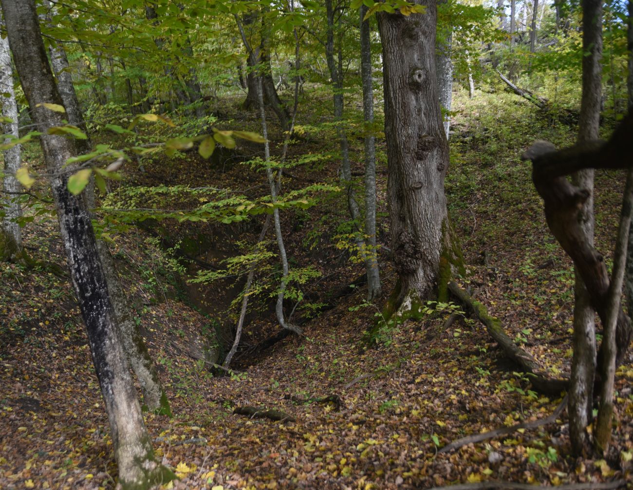 Окрестности пещеры Порошковая, изображение ландшафта.