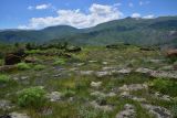 Image of landscape