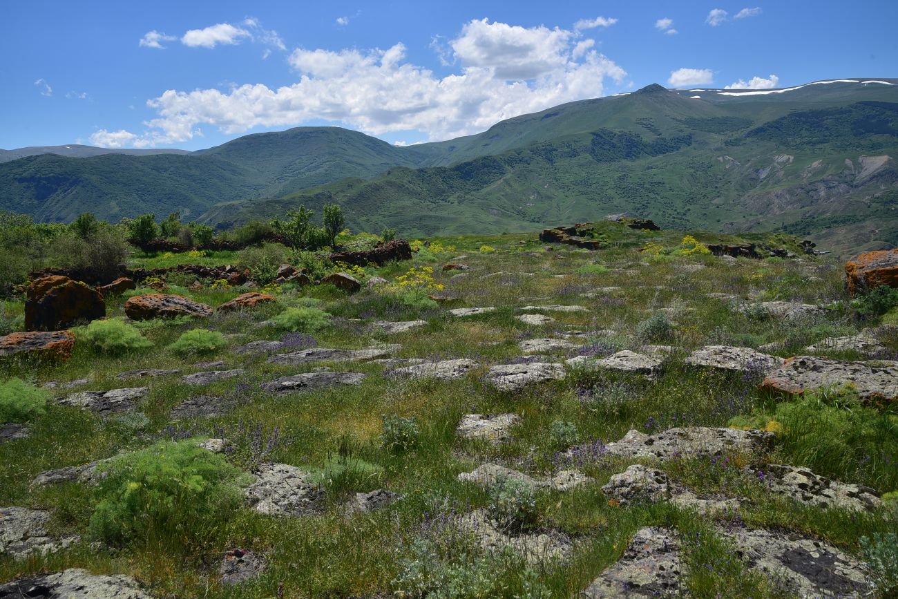 Окрестности села Саро, image of landscape/habitat.