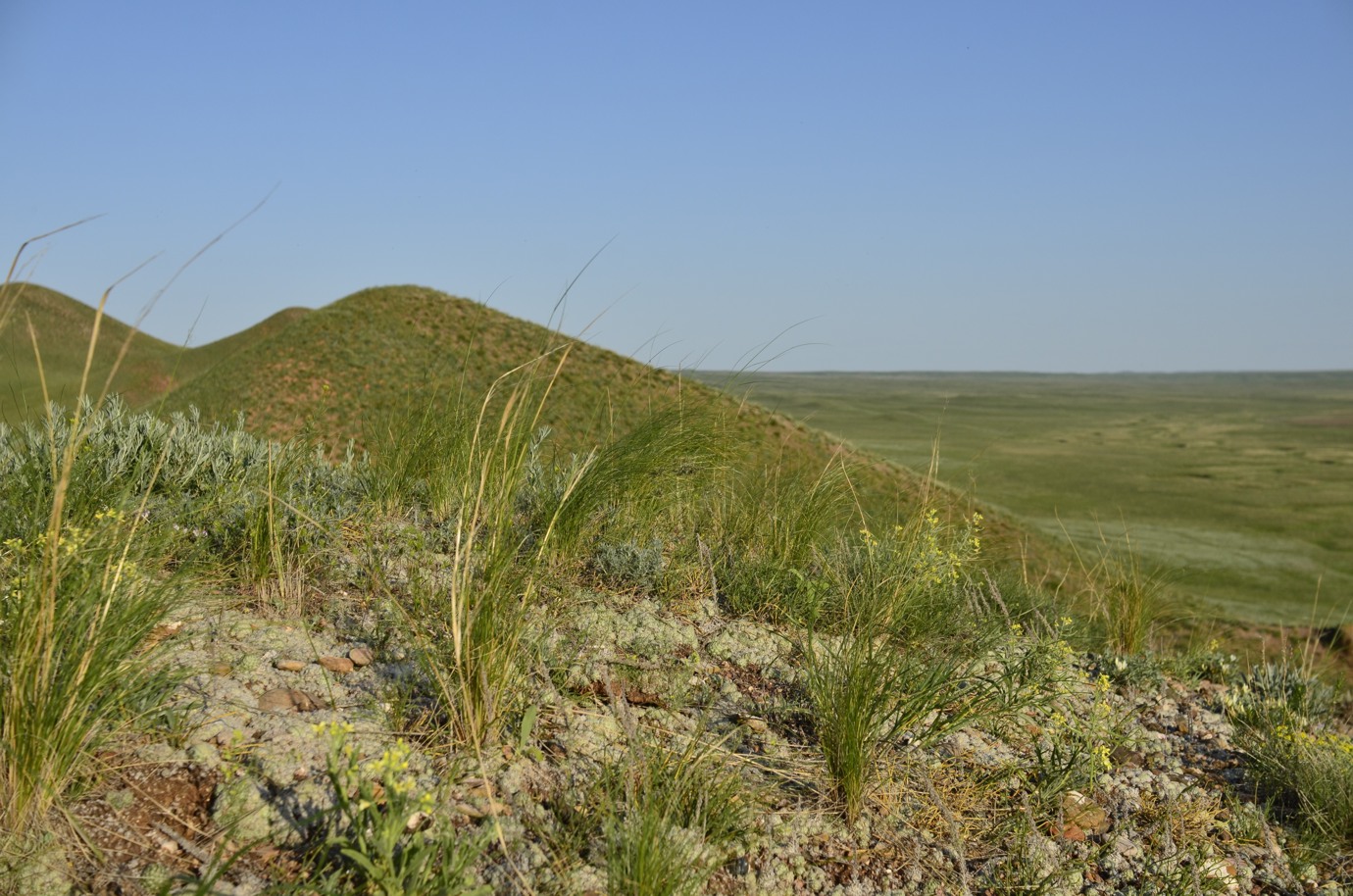 Кзыладырское карстовое поле, image of landscape/habitat.