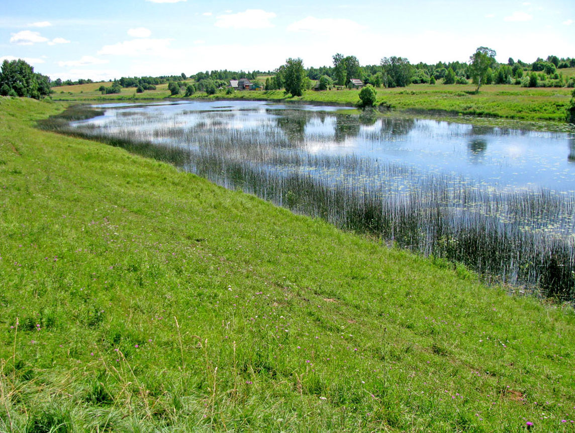 Корожечна в зоне подпора, image of landscape/habitat.