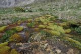 Долина реки Терскол, image of landscape/habitat.