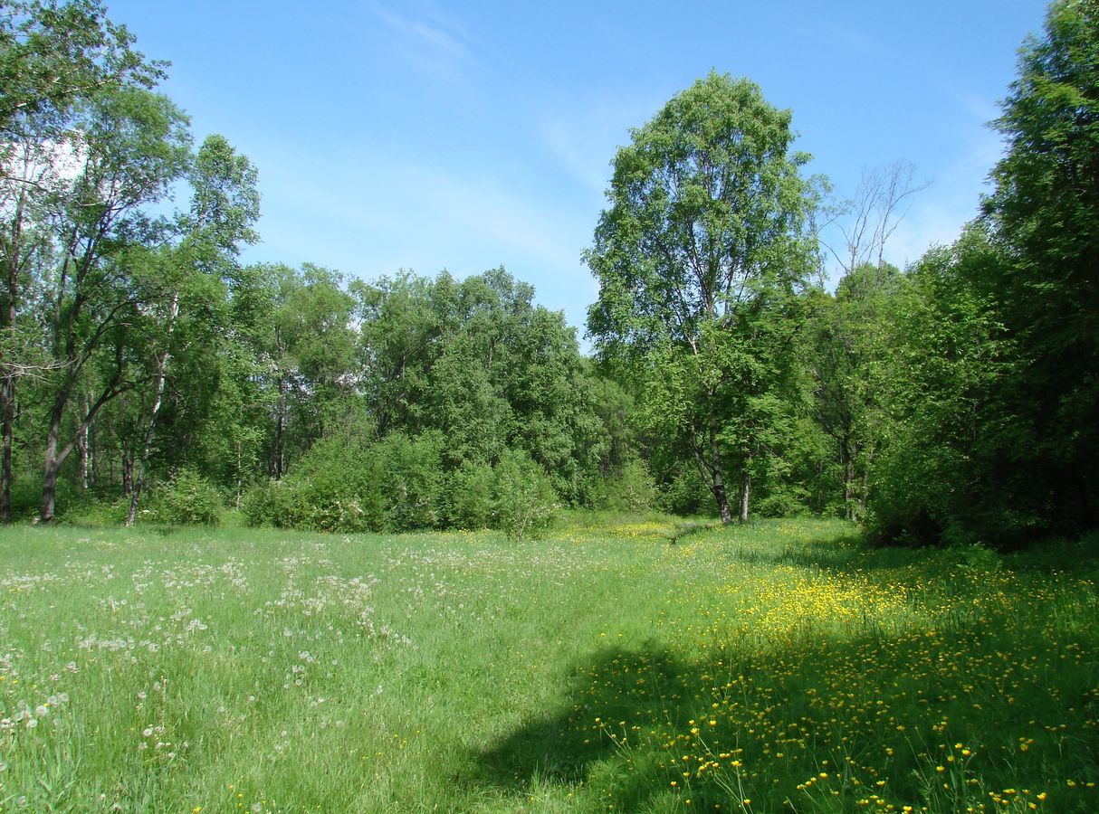 Слюдянка, image of landscape/habitat.