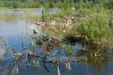 Елизаветинский карьер, image of landscape/habitat.