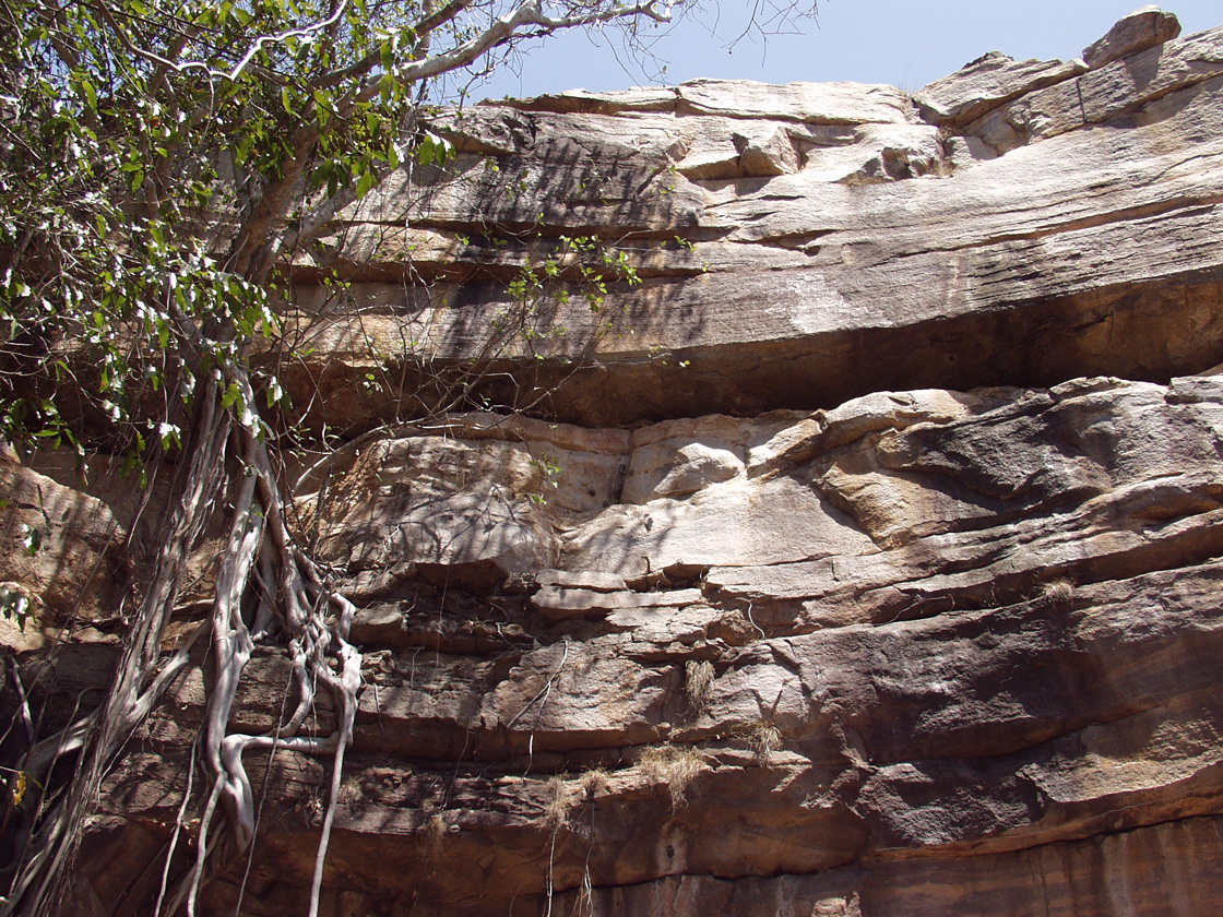 Kakadu, image of landscape/habitat.