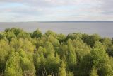 Image of landscape