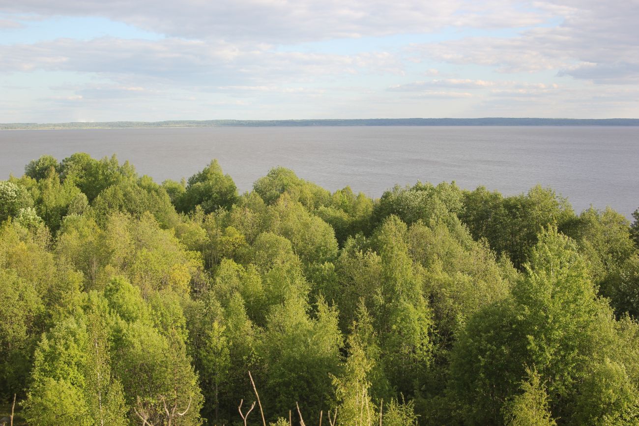 Авраамиев-Городецкий монастырь, image of landscape/habitat.