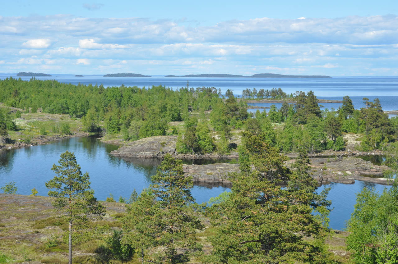 Остров Оборонный, image of landscape/habitat.