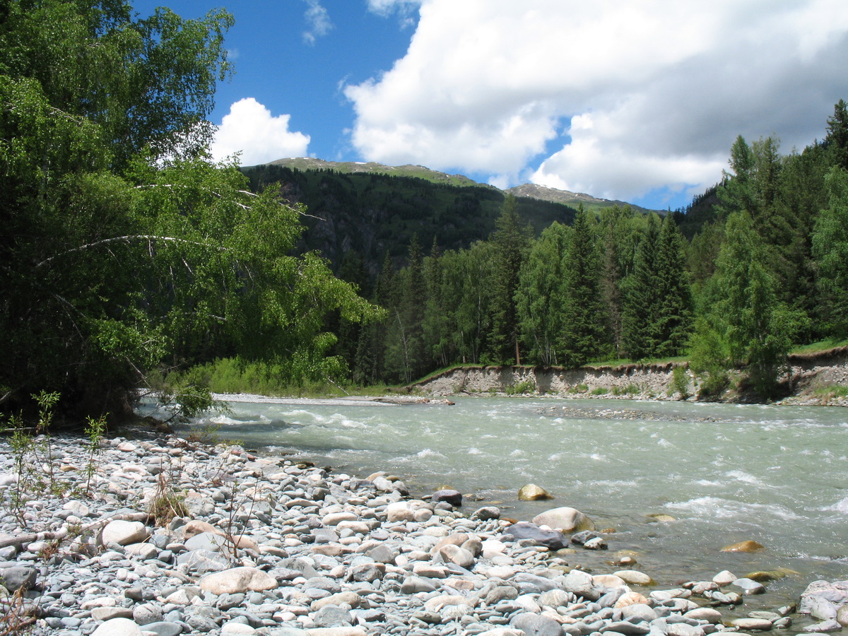 Белая Берель, image of landscape/habitat.