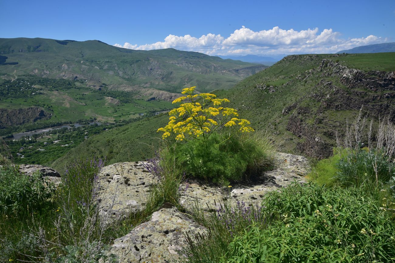 Окрестности села Саро, image of landscape/habitat.