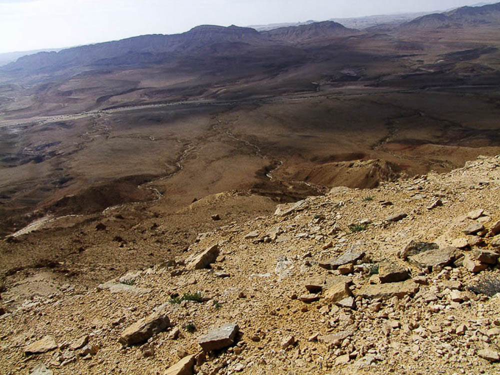 Негев, image of landscape/habitat.