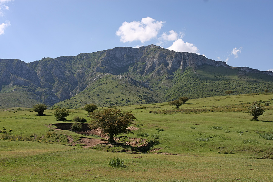 Ущелье Кызылбулак, image of landscape/habitat.