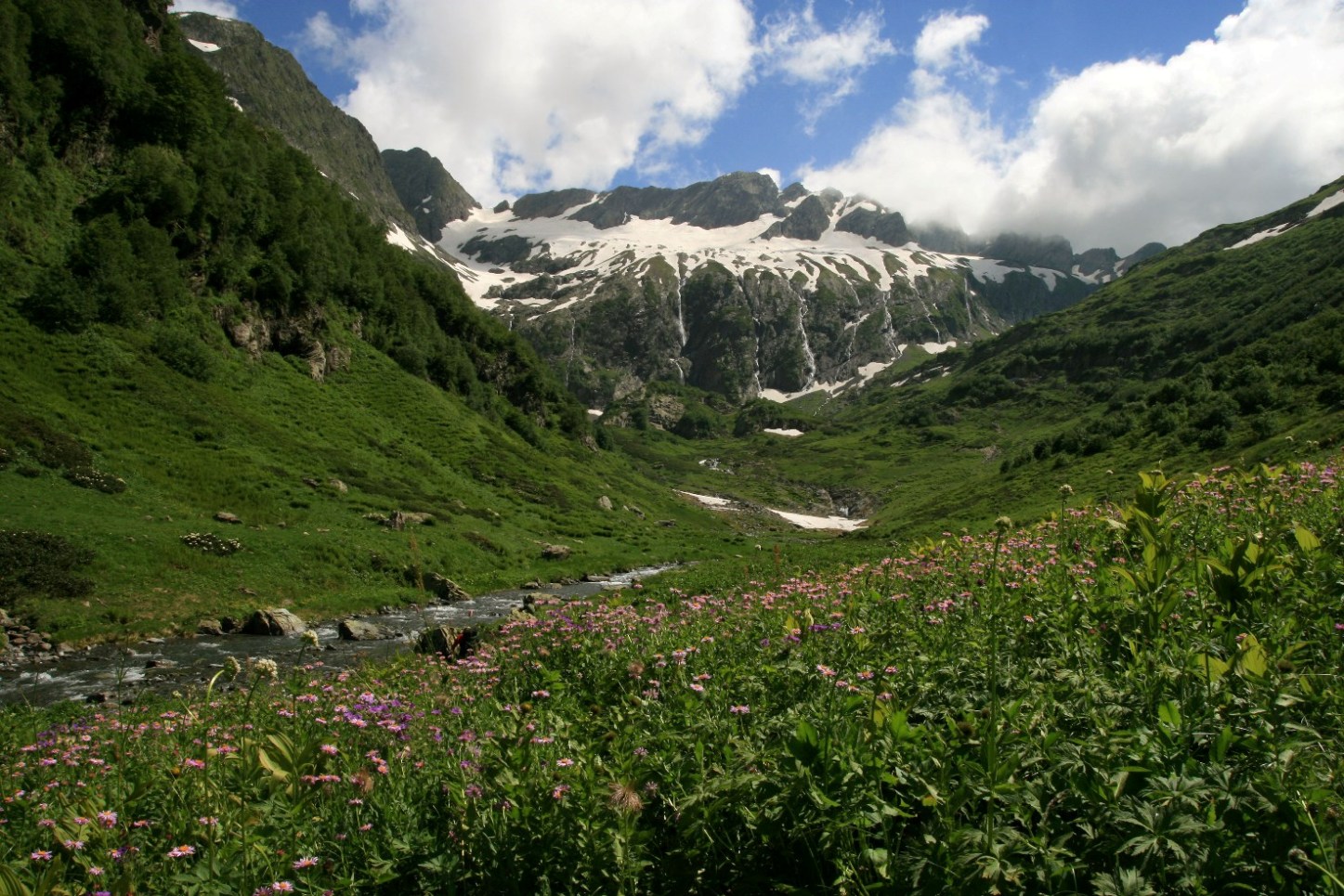 Долина реки Киша, изображение ландшафта.