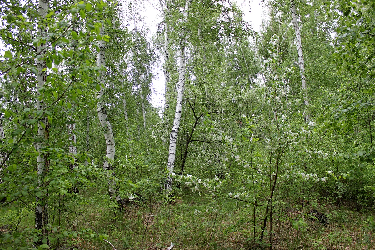 Благодатное, image of landscape/habitat.