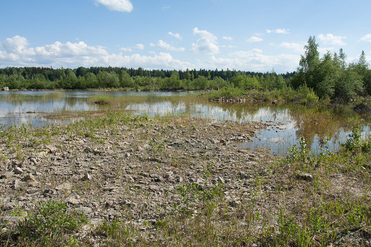 Елизаветинский карьер, image of landscape/habitat.